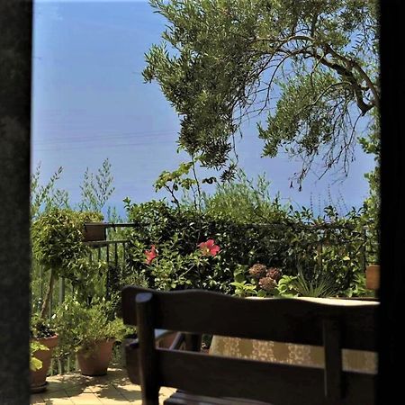 B&B Dei Fiori Прая а Маре Екстериор снимка