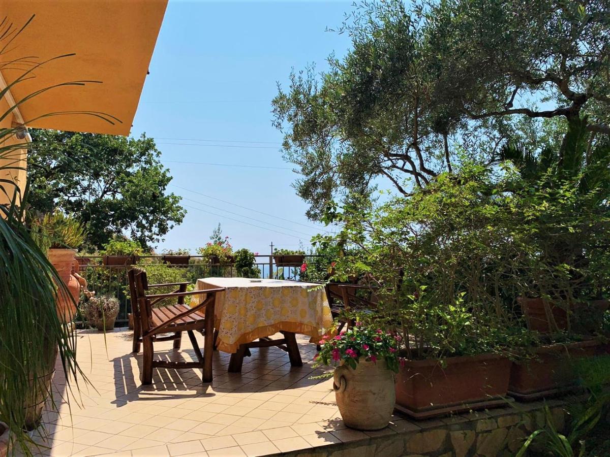 B&B Dei Fiori Прая а Маре Екстериор снимка