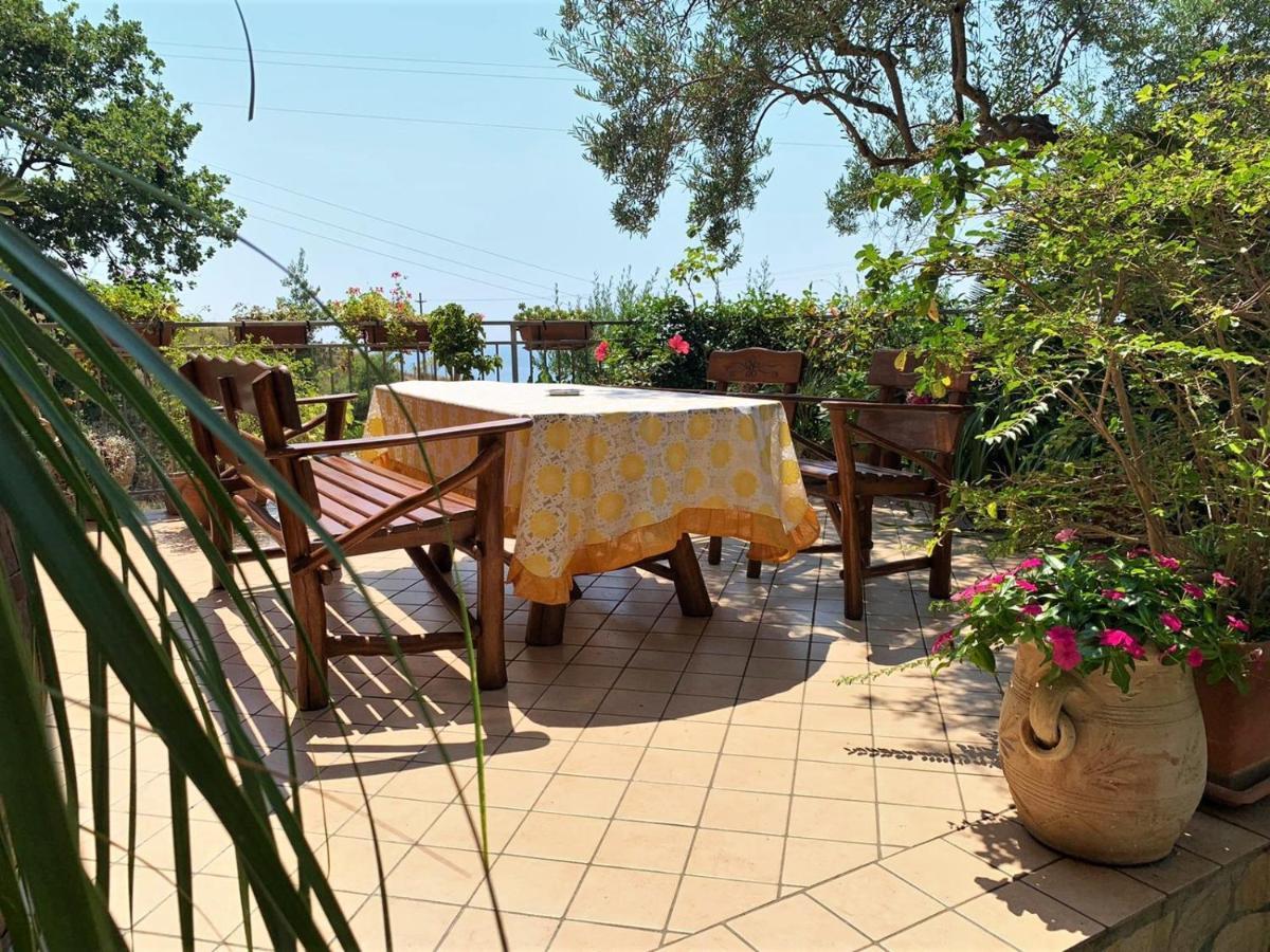 B&B Dei Fiori Прая а Маре Екстериор снимка