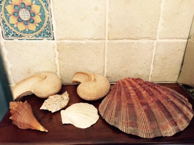 B&B Dei Fiori Прая а Маре Екстериор снимка