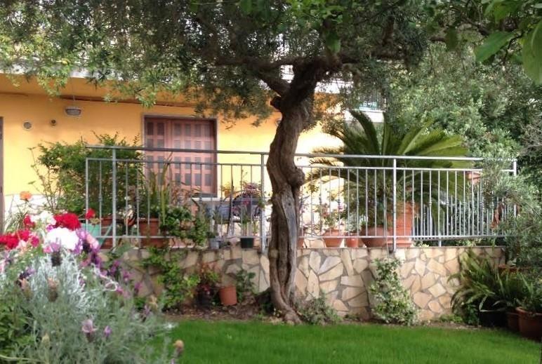 B&B Dei Fiori Прая а Маре Екстериор снимка