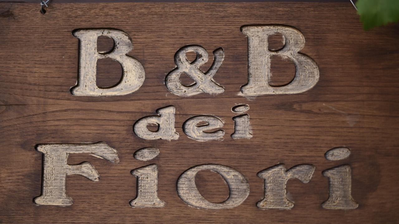 B&B Dei Fiori Прая а Маре Екстериор снимка