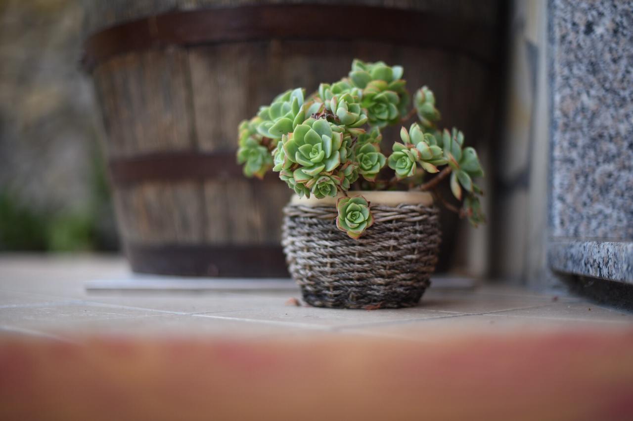 B&B Dei Fiori Прая а Маре Екстериор снимка